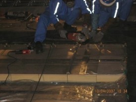 Membrane Repair