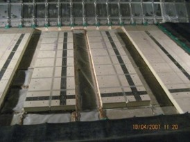 Membrane Repair