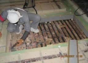 Membrane Repair