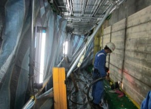 Membrane Repair